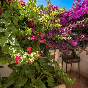 Pinos 2 Apartment